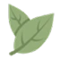 leaf logo